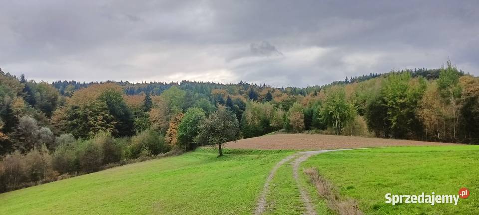 Sprzedam gospodarstwo rolne Jodłowa