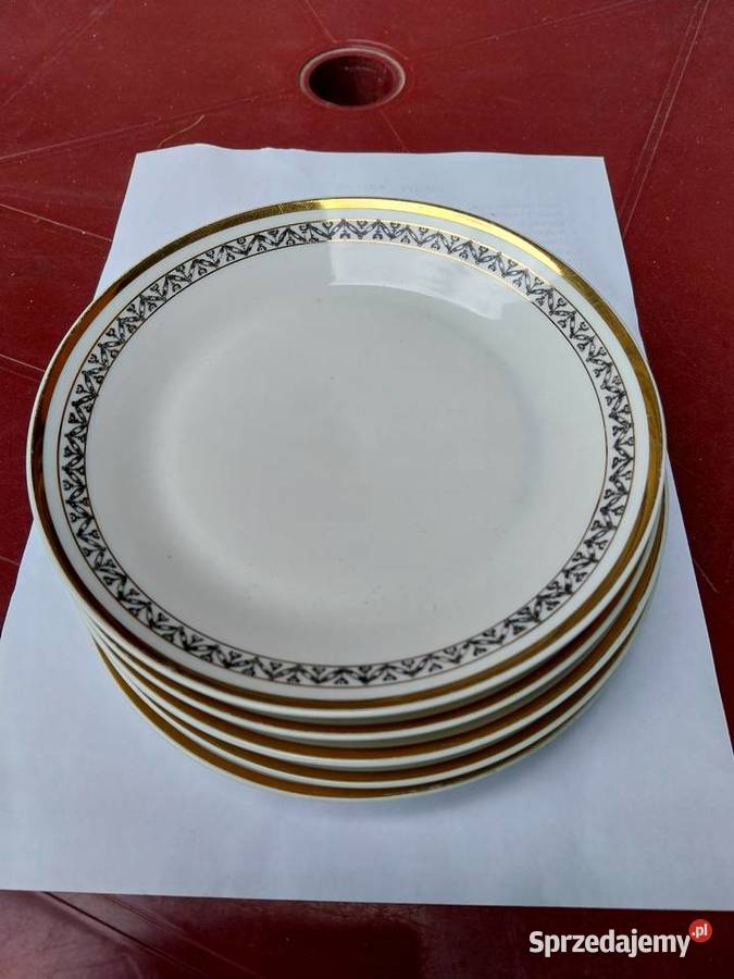 Talerzyki Chodzież śląskie