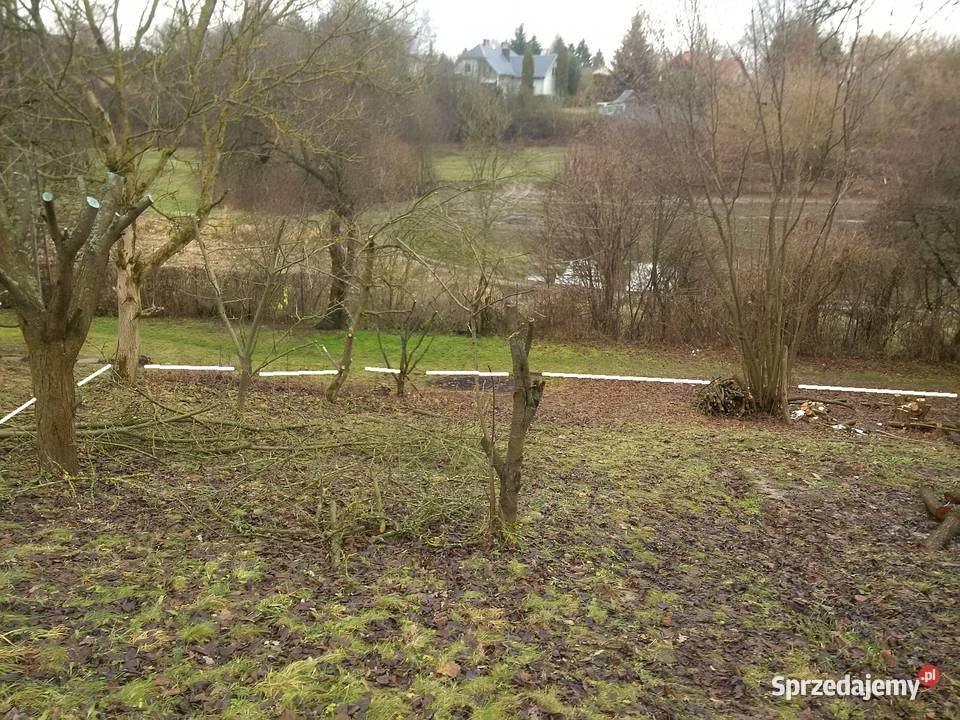 Działka ROD Bratek Dąbrowica 380m2 Ogródek