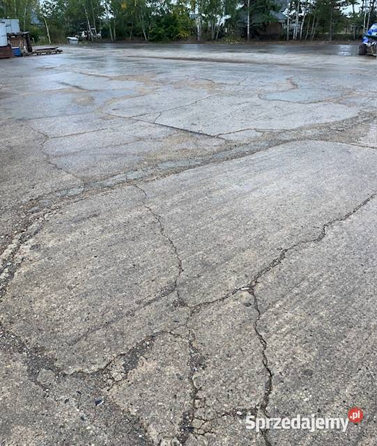 Wynajmę plac utwardzony 2500m2 mazowieckie Olszewnica Stara