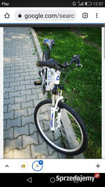 Rower Górski Alpina Eco Wałbrzych