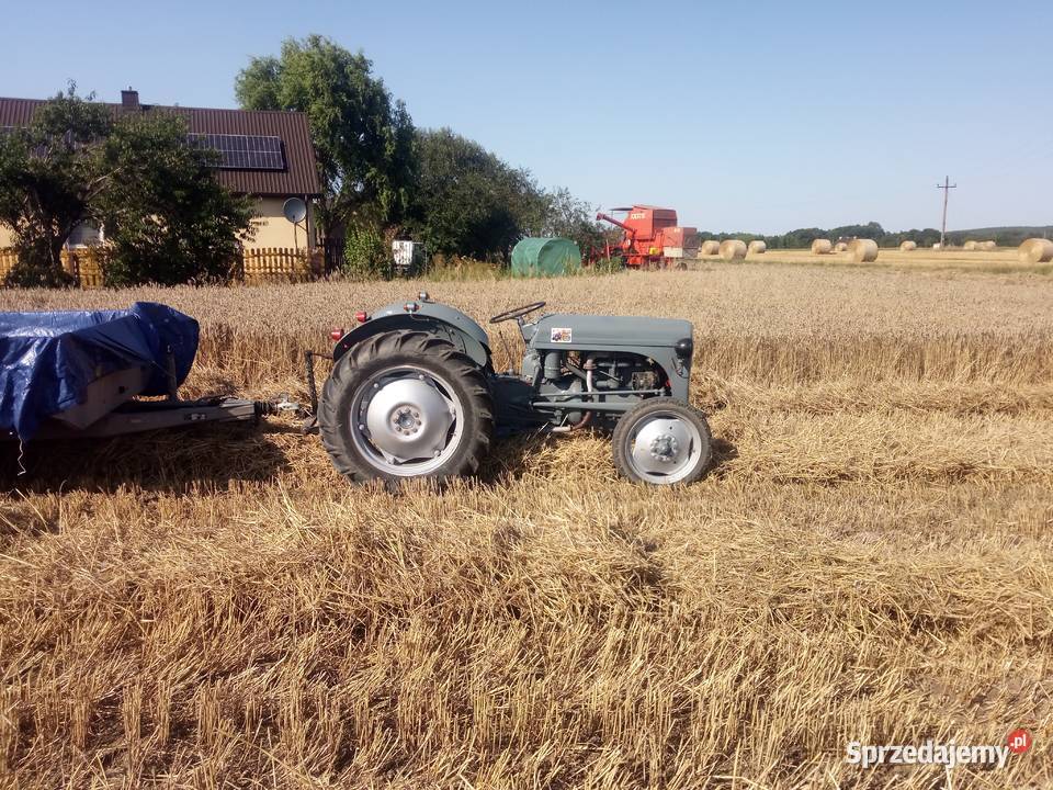 Ferguson tea 20 1951 zarejestrowany Poddębice