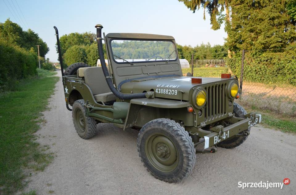Jeep Willys m38 1951