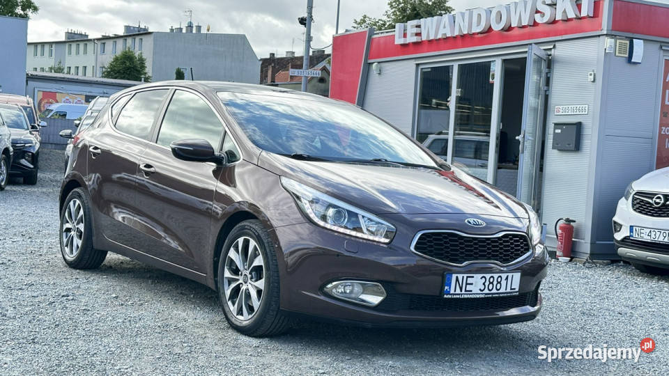 Kia Ceed 16 Benzyna Bogato Wyposażony II 2012 ESP sprzedam