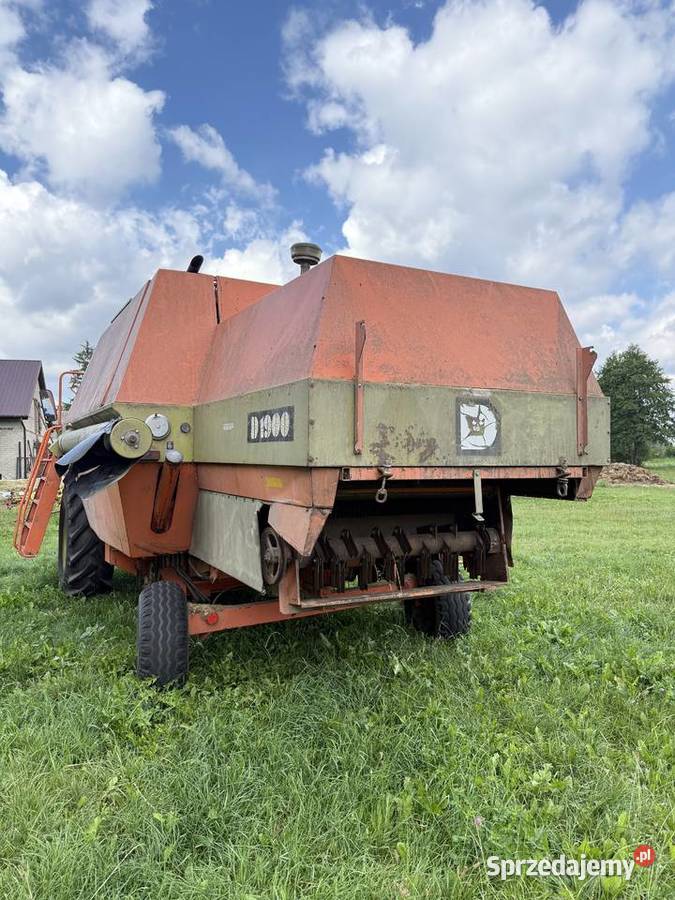 Dronningborg D1900 Kąkolewnica