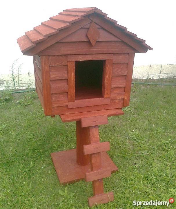 Buda domek kota kotów opolskie Grodziec