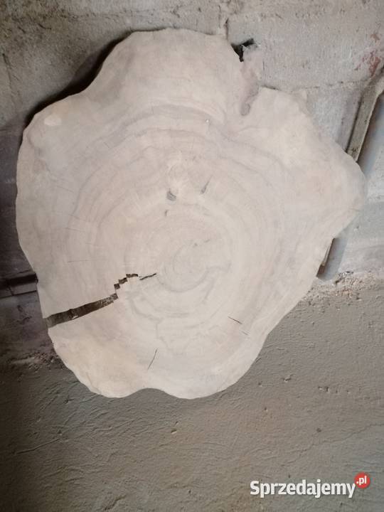 Stolik kawowy plaster dębu 67x72x7 jesiona wiązu mazowieckie Przysucha
