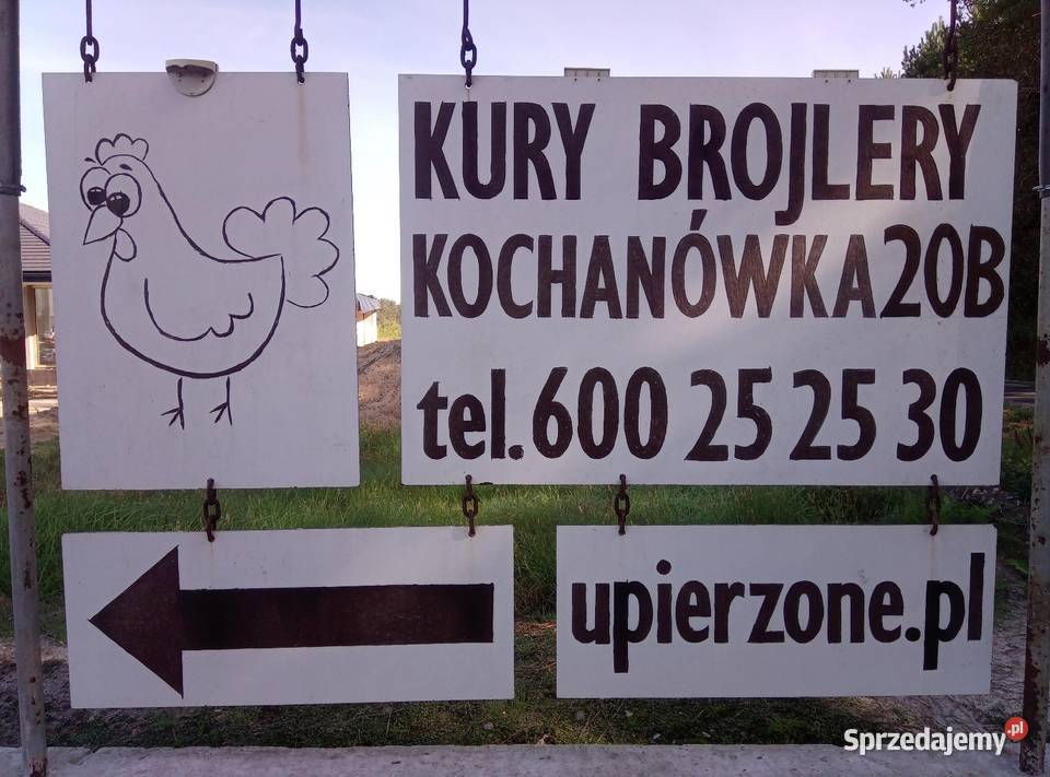 kury brojlery prosto z naszego gospodarstwa Pustków-Osiedle