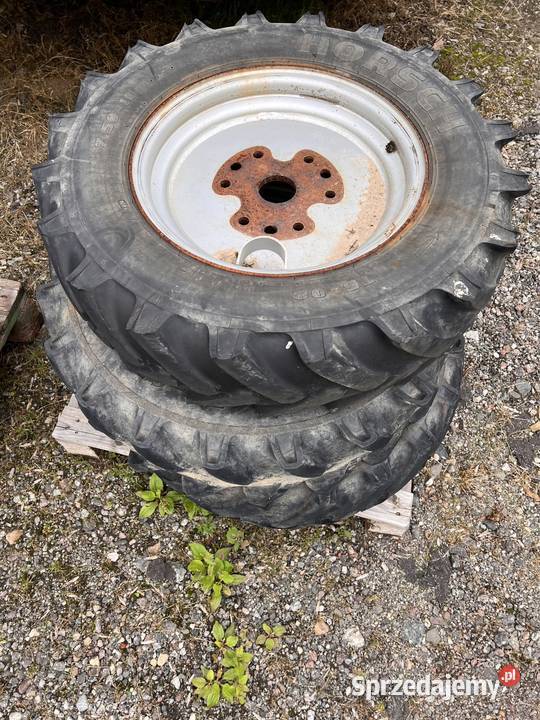 S kola siewnik Horsch Solnica sprzedam