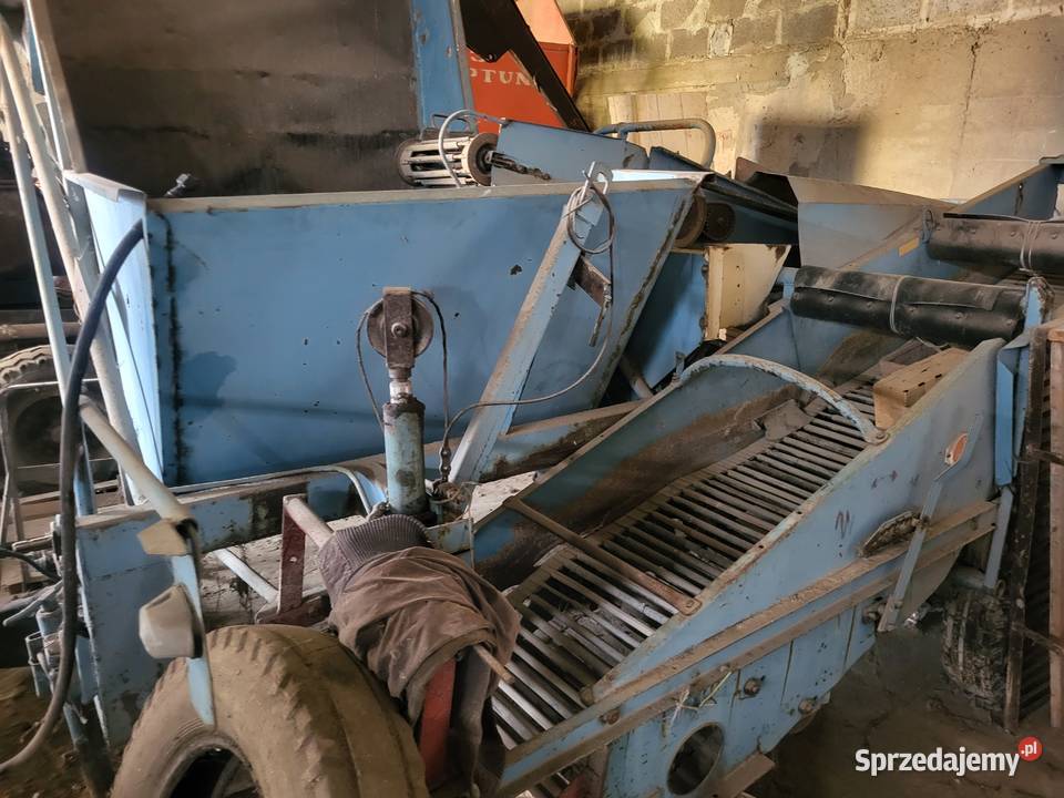 Kombajn bolko do ziemniaków cebuli I warzyw Miedniewice