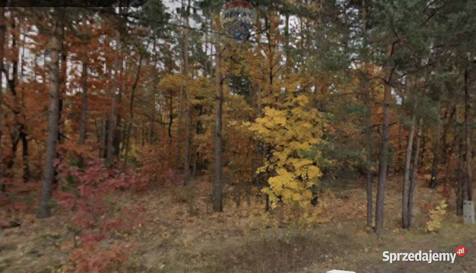 Drożdżówka Leśna działka pod dom całoroczny