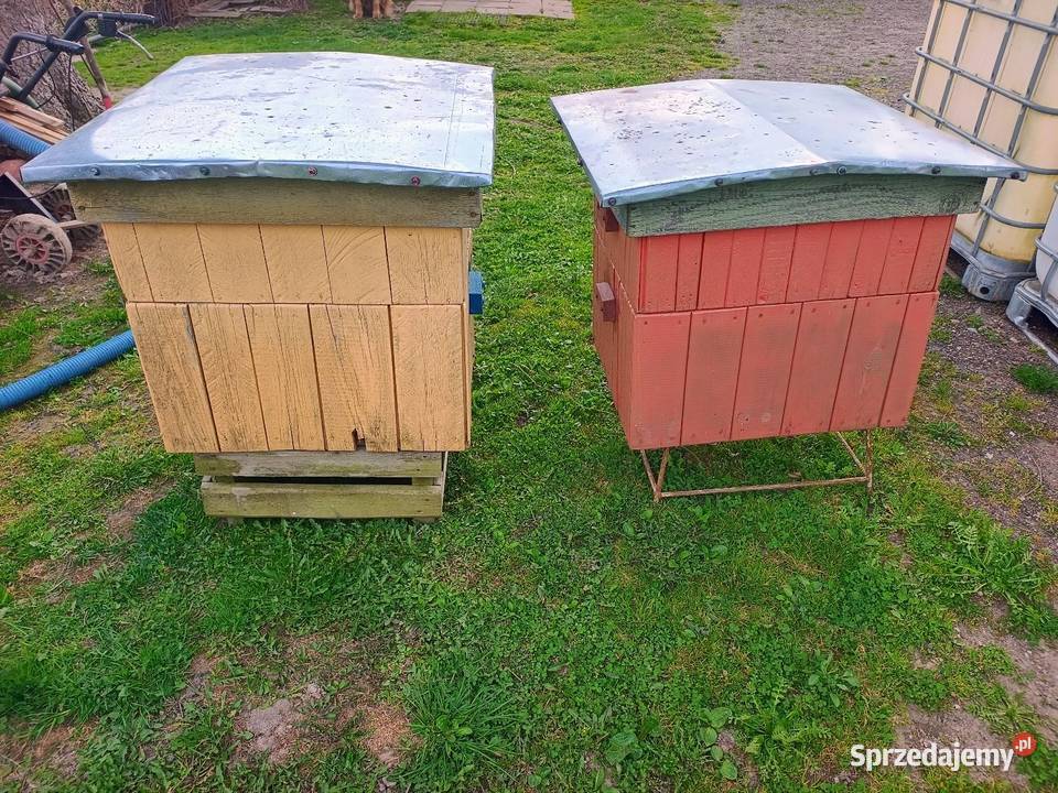 Ule wielkopolskie 12 ramkowe z pełną nadstawką Siostrzytów