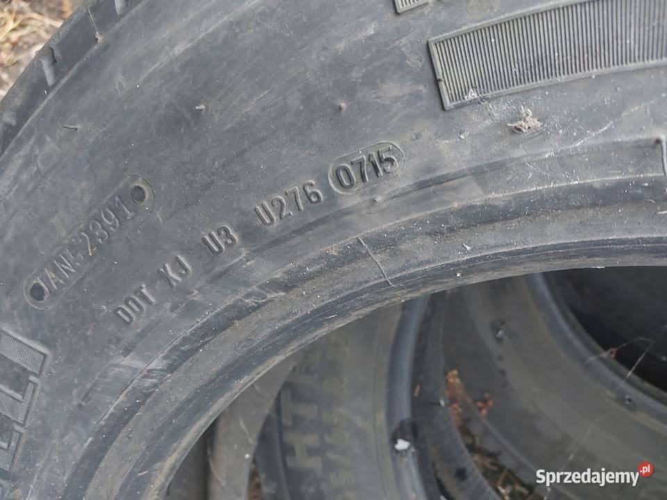 Opona MS Pirelli ST01 20565 175 Pleszew