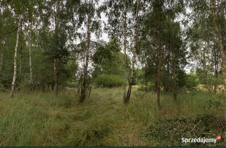 Działka z dostępem do drogi