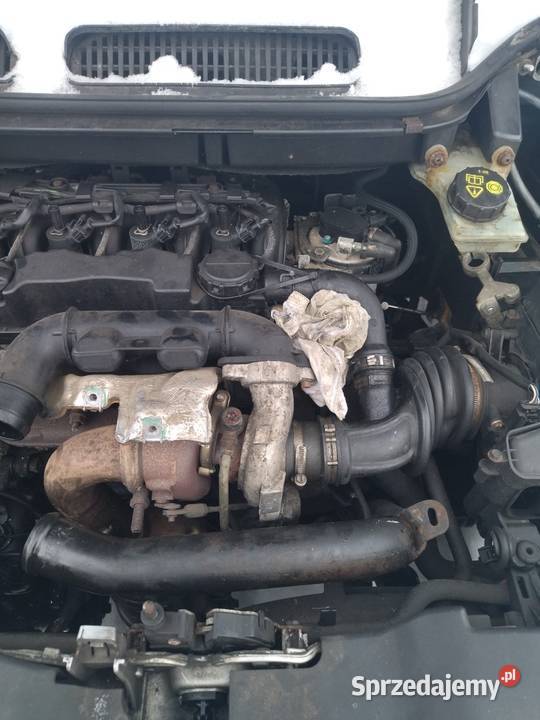Sprzedam uszk kompletny silnik 16 tdci hdi mazowieckie Liw