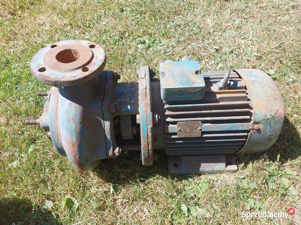 Pompy pompa wody hydroforowa apollo 230v Stężyca sprzedam