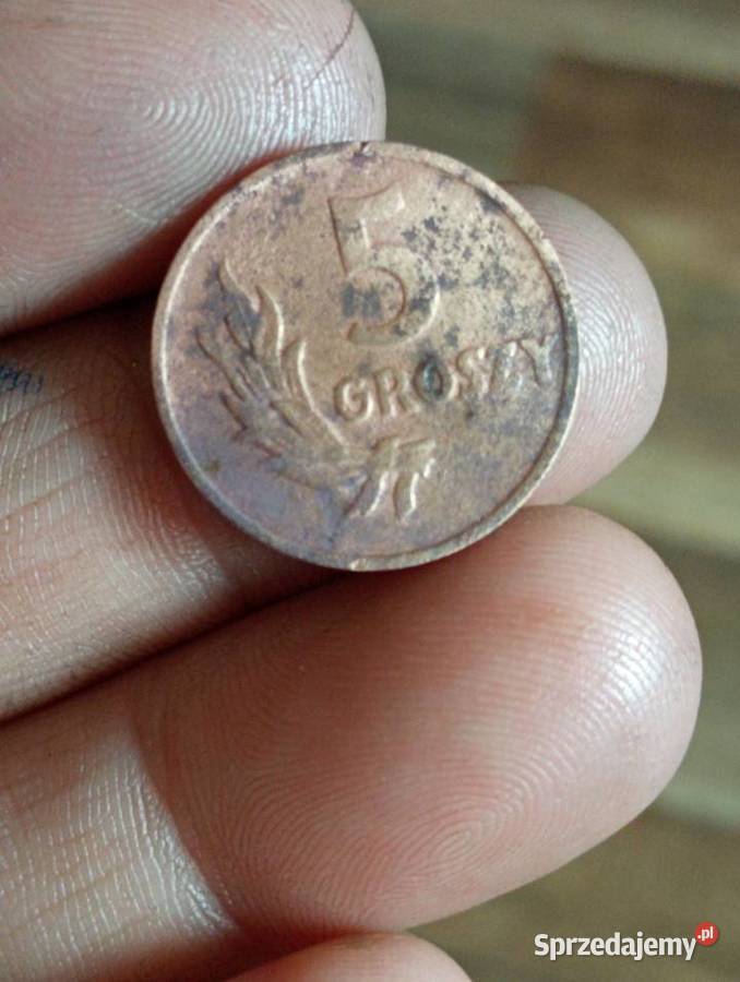 Sprzedam monete 5 groszy 1949r bzm lubelskie Chełm