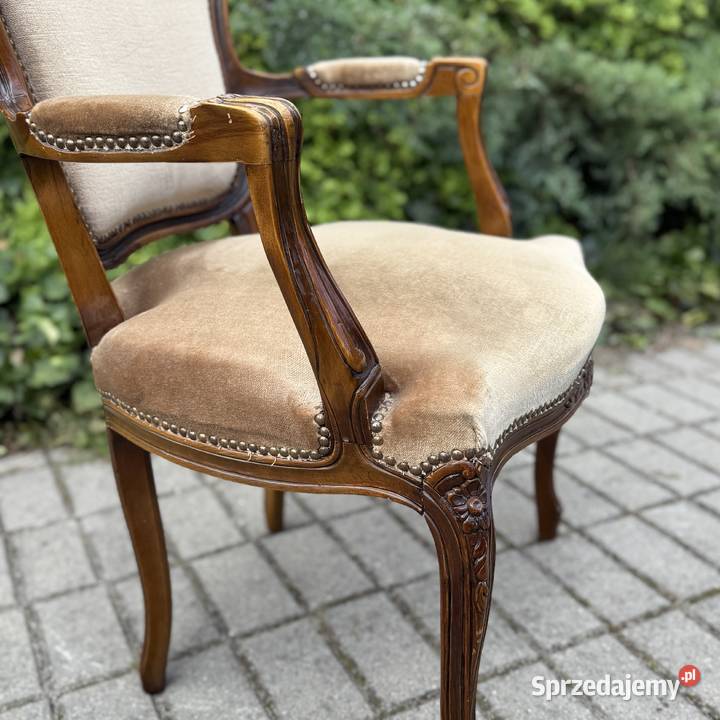 ARTexpert Wygodny Pałacowy fotel Ludwik welur Dobrzany
