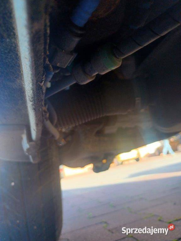 seicento 2004 11 wielkopolskie Buk