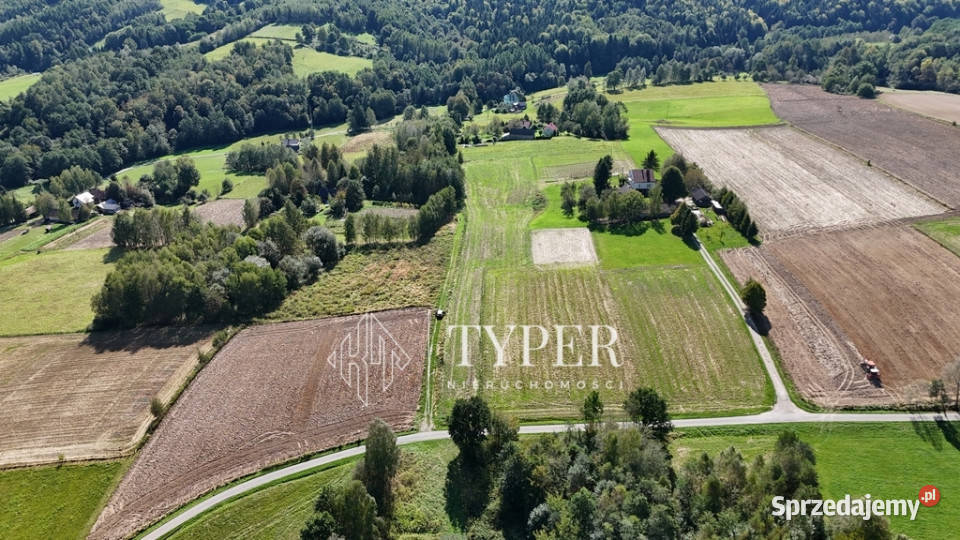 Działka Ryglice 77 arów