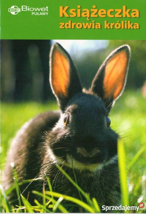 Książeczka zdrowia królika BIOWET PUŁAWY Ruda Śląska