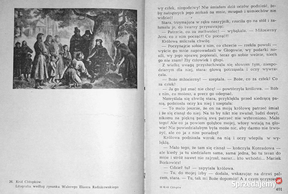 Król chłopów Czasy Kazimierza Wielkiego Józef Chełm