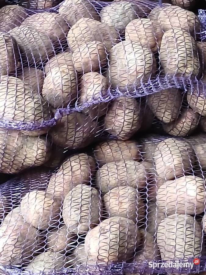 Ziemniaki czerwone okazja