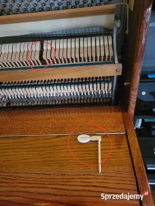 Muzyka w Twoim domu pianino Belarus czeka na Pozostałe