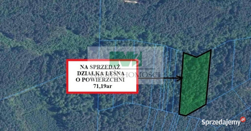 DO SPRZEDAŻY DZIAŁKA LEŚNA W GIEDLAROWEJ