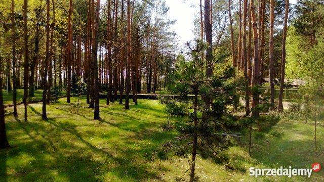 grunt do sprzedaży 1500m Wrzosów 1500m2