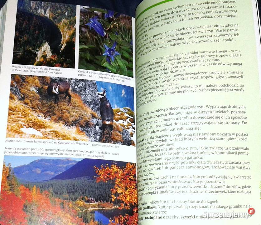 Zielona Polska Wojciech Lewandowski Robert Chełm