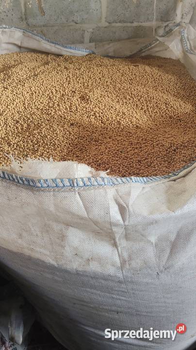 Soja Abaca Zboża Namysłów