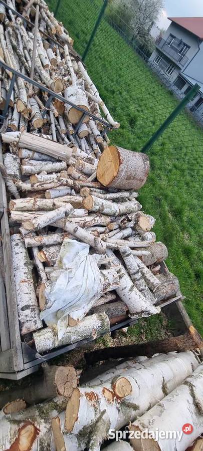 Drzewo opałowe brzoza Łańcut