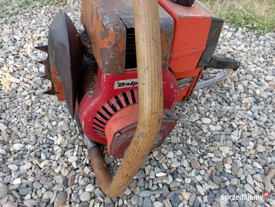 Polska piła dolpima