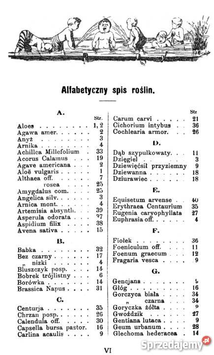 Ks Seb Kneipp ZIELNIK czyli Atlas Roślin Lecz Kozienice sprzedam