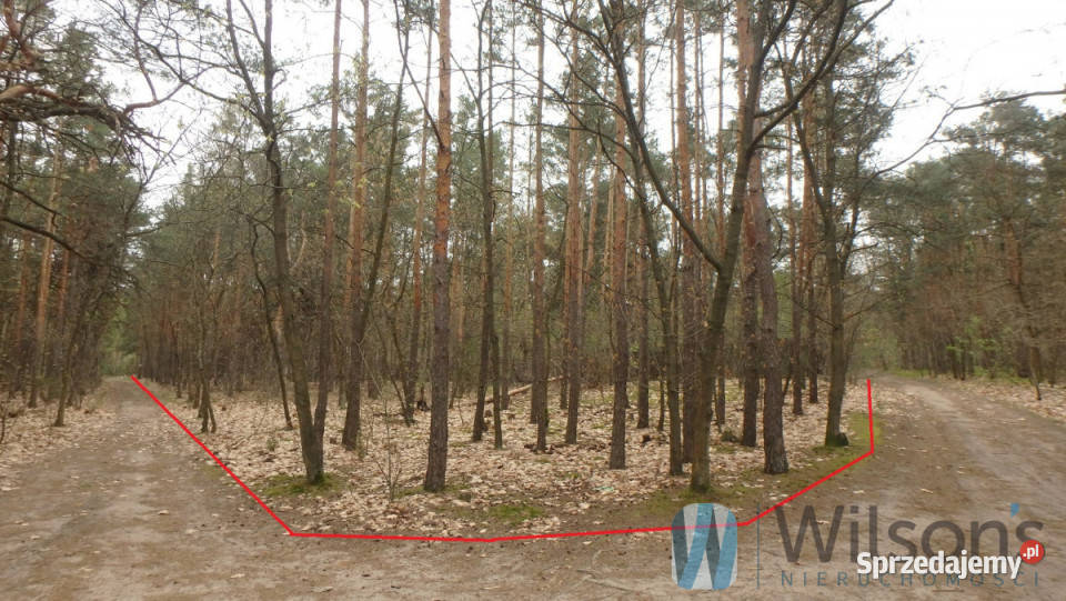sprzedaży działki 2784m Warszawa mazowieckie