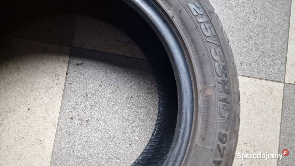 0pony zetex 16 21555