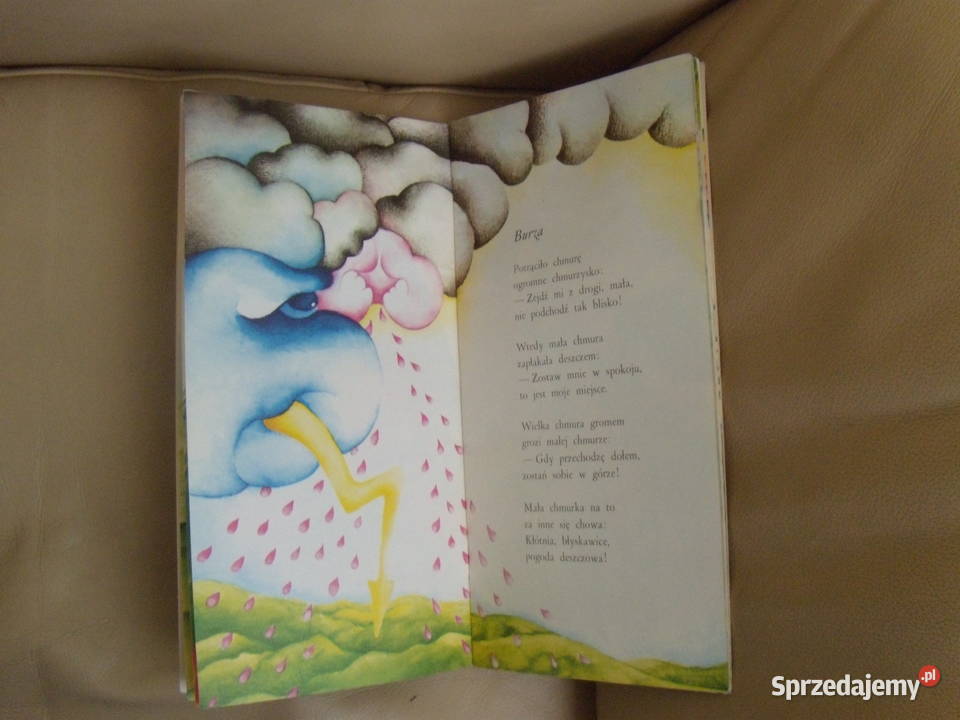 Makówka i wiatr Wincenty Faber Warszawa