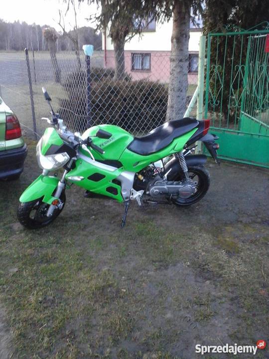 Kingway Fennari Gąsiory sprzedam