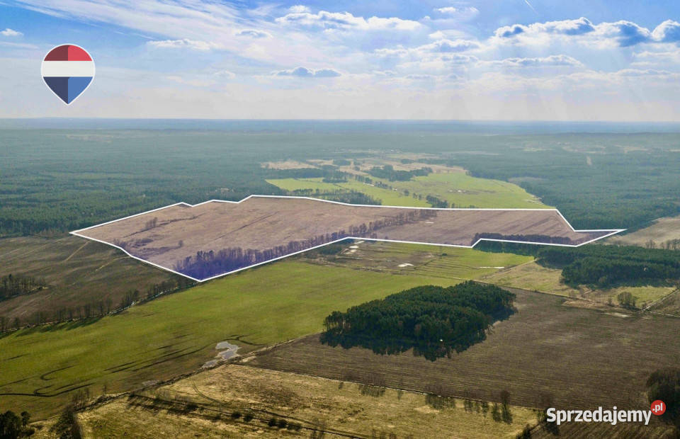 Działka rolna na sprzedaż aż 925 ha Sprzedaż lubuskie Koźla