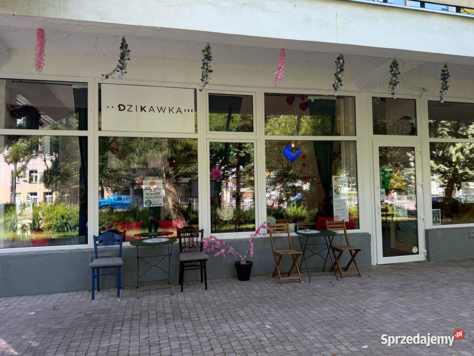 Gotowy biznes na sprzedaż w Sopocie Sprzedaż Sopot