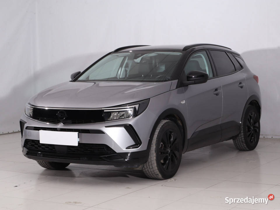 Opel Grandland 12 Turbo ASR (kontrola trakcji) Grandland X mazowieckie Piaseczno
