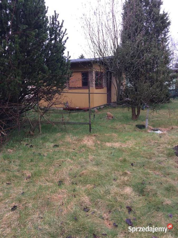 Działka ROD Pszylaszczka Łódź