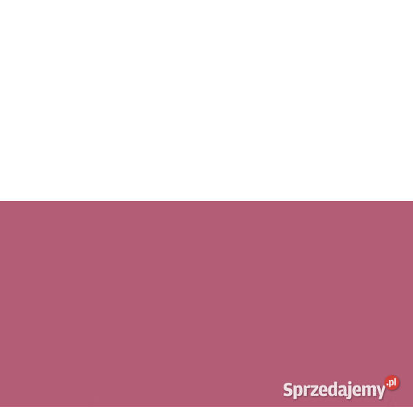 Płytki Vivida viola 30 x 60 Paradyż aktualne zachodniopomorskie Białogard sprzedam