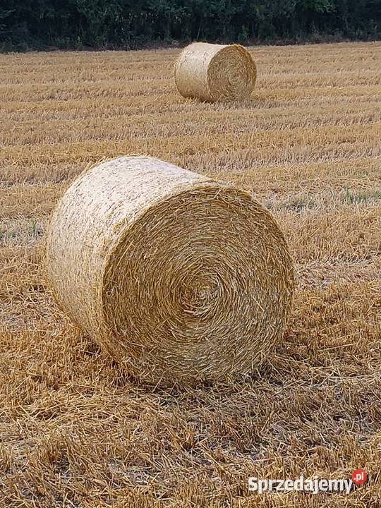 Sprzedam słomę jęczmienną Górki