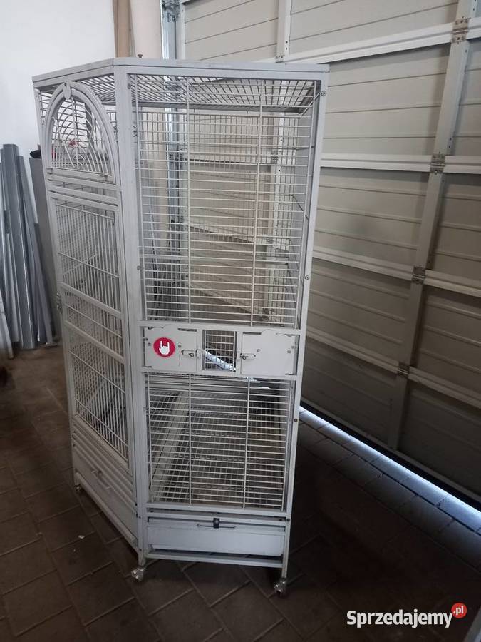 Klatka Montana Denver dolnośląskie Łagiewniki