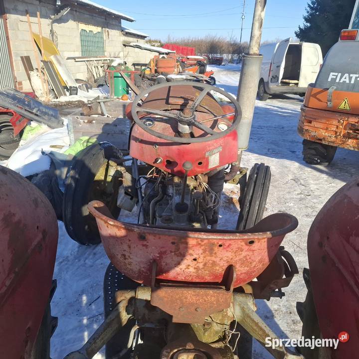 Massey ferguson Grabów nad Wisłą