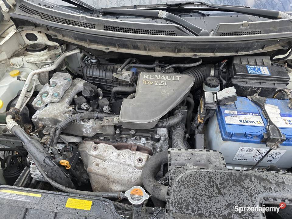 Renault Koleos 6999 dolnośląskie Chełmsko Śląskie