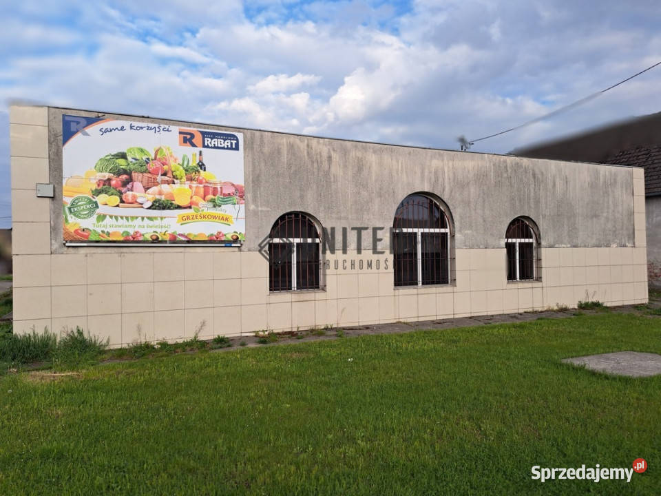 Budynek magazynowo usługowy z funkcją mieszkalną 466m2 Domaniów sprzedam