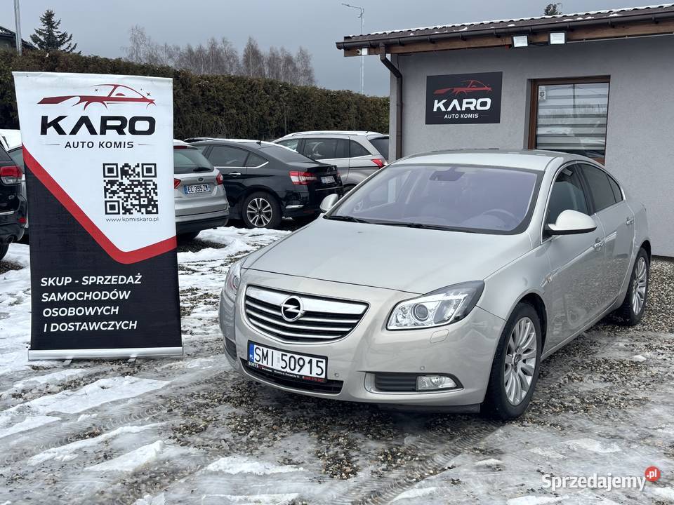 Opel Insignia Paniówki